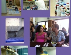 The Fass Lab 2009-2012