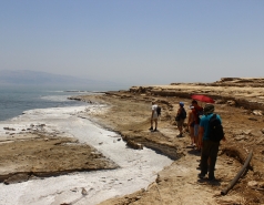 Photo Gallery picture no. 5