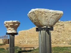 Lab trip Caesarea February 2016 picture no. 3