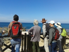 Lab trip Caesarea February 2016 picture no. 5