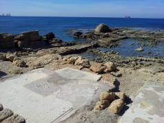 Lab trip Caesarea February 2016 picture no. 7