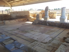 Lab trip Caesarea February 2016 picture no. 11