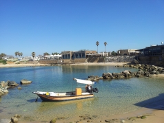 Lab trip Caesarea February 2016 picture no. 16