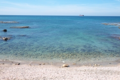 Lab trip Caesarea February 2016 picture no. 30