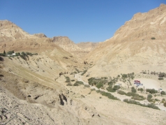 Ein-Gedi Retreat 2015 picture no. 1