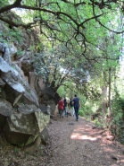 Retreat Kfar Blum 31.3.2014 picture no. 3