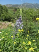 Retreat Kfar Blum 31.3.2014 picture no. 4