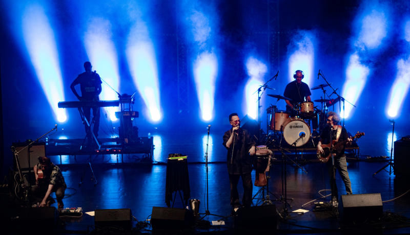 ג'ירפות | קרדיט: נעם אמיר