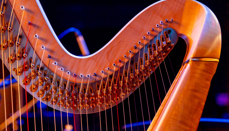 תזמורת המהפכה | קרדיט: חנה נודלמן פאוסט