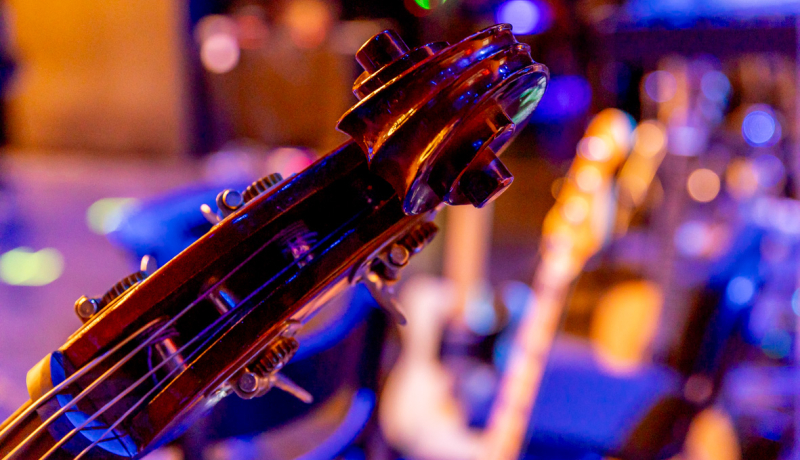 תזמורת המהפכה | קרדיט: חנה נודלמן פאוסט