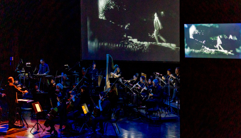 תזמורת המהפכה | קרדיט: חנה נודלמן פאוסט