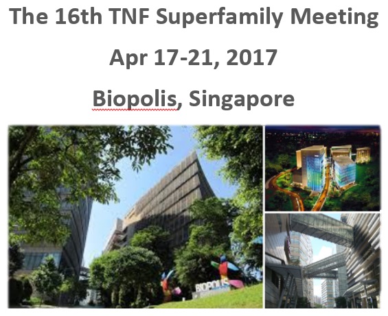 Image for the 16th TNF Superfamily meeting