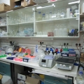 Around The Lab picture no. 7