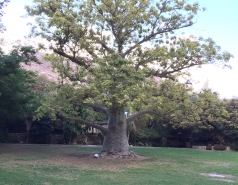 Retreat picture no. 10