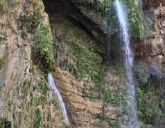 Retreat picture no. 11