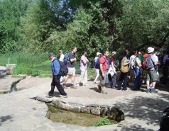 Group 2007 picture no. 11