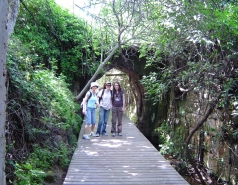 Group 2007 picture no. 8