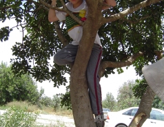 Group 2004 picture no. 6