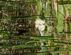 Group 2021 picture no. 21