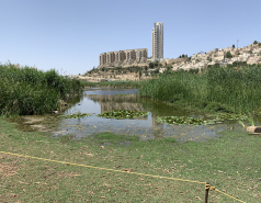 Group 2021 picture no. 5