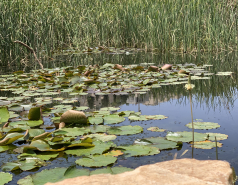 Group 2021 picture no. 1