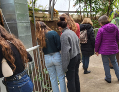 2024 : a winter day in Jerusalem picture no. 8