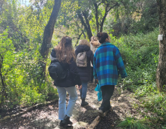 2024 : a winter day in Jerusalem picture no. 6