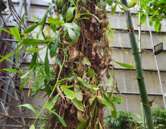 2024 : a winter day in Jerusalem picture no. 27