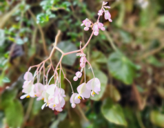 2024 : a winter day in Jerusalem picture no. 28