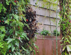 2024 : a winter day in Jerusalem picture no. 26