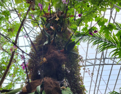 2024 : a winter day in Jerusalem picture no. 23