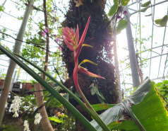 2024 : a winter day in Jerusalem picture no. 22