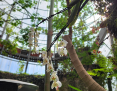 2024 : a winter day in Jerusalem picture no. 19