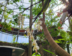 2024 : a winter day in Jerusalem picture no. 18