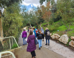 2024 : a winter day in Jerusalem picture no. 38