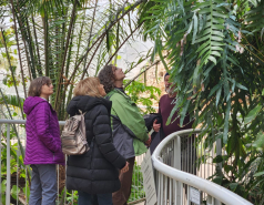 2024 : a winter day in Jerusalem picture no. 39