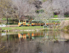 2024 : a winter day in Jerusalem picture no. 37