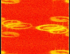 Art-i-Fact Gallery picture no. 4