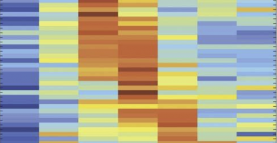 A module of negative feedback regulators defines growth factor signaling