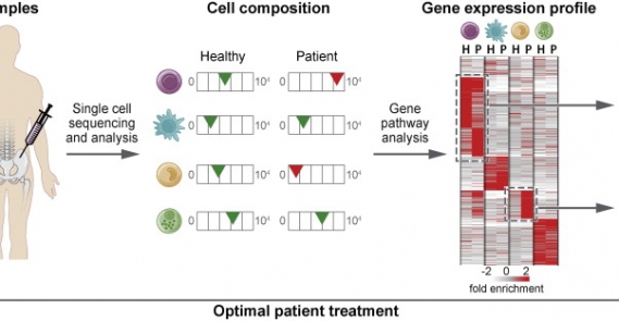 Each cell counts: Hematopoiesis and immunity research in the era of single cell genomics