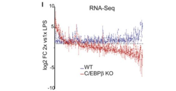 Erratum: C/EBPβ-Dependent Epigenetic Memory Induces Trained Immunity in Hematopoietic Stem Cells (Cell Stem Cell (2020) 26(5) (657–674.e8), (S1934590920300175), (10.1016/j.stem.2020.01.017))