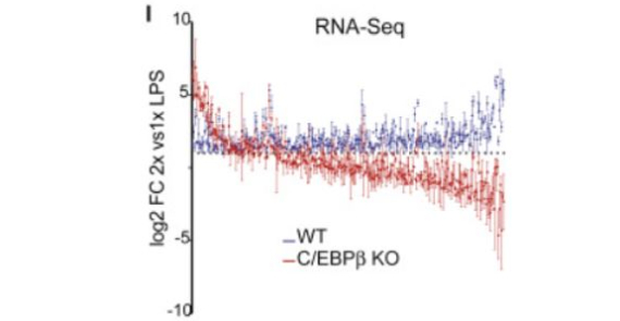 Erratum: C/EBPβ-Dependent Epigenetic Memory Induces Trained Immunity in Hematopoietic Stem Cells (Cell Stem Cell (2020) 26(5) (657–674.e8), (S1934590920300175), (10.1016/j.stem.2020.01.017))