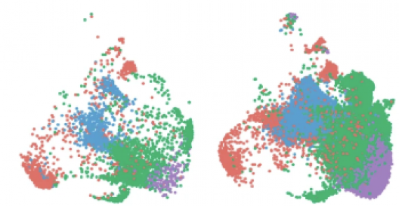 Single-cell landscape of bronchoalveolar immune cells in patients with COVID-19