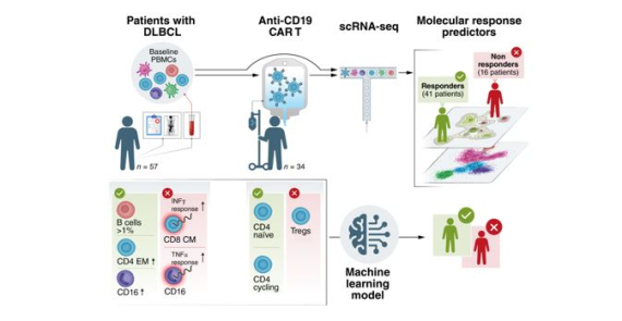 Distinct Cellular and Molecular Patterns in Pretreatment Peripheral Blood Are Associated with CAR T-cell Outcomes in Diffuse Large B-cell Lymphoma