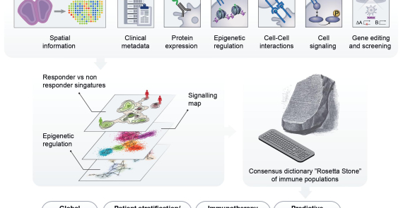 Single-cell immunology: Past, present, and future