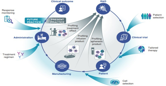In Synergy: Optimizing CAR T Development and Personalizing Patient Care Using Single-Cell Technologies