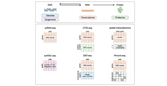Towards the Next Generation of Data-Driven Therapeutics Using Spatially Resolved Single-Cell Technologies and Generative AI