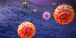 Control of B cell survival in disease