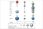 The functional consequences of preleukemic mutations