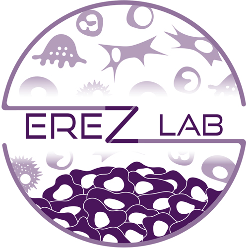 Lab logo